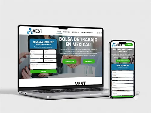 VEST Website